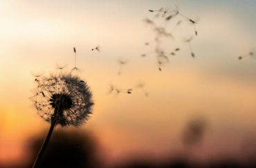 Pedagogia – Disciplina aberta: Fases da vida