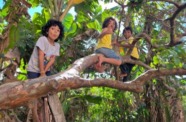 Ensino Fundamental: A Natureza na Prática Pedagógica