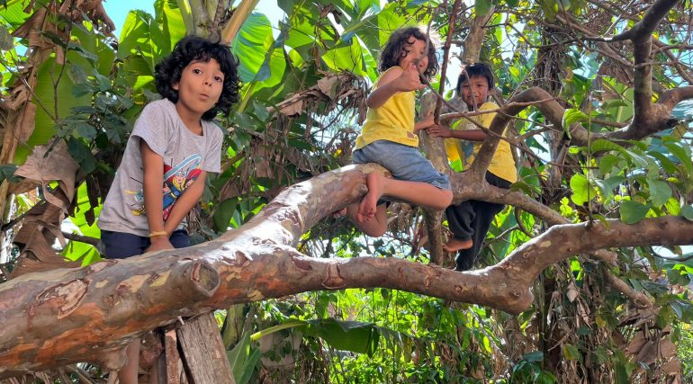 Ensino Fundamental: A Natureza na Prática Pedagógica