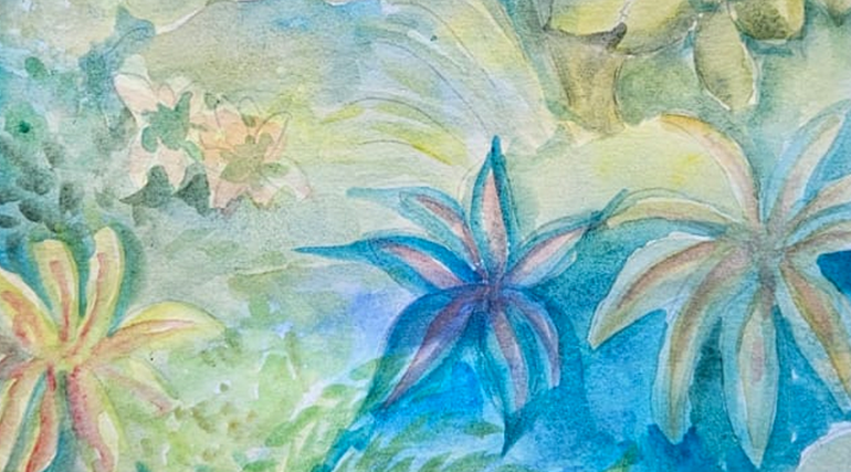 A Aquarela e Beleza da Natureza Brasileira