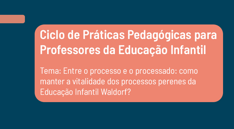 Ciclo de Práticas Pedagógicas: Educação Infantil